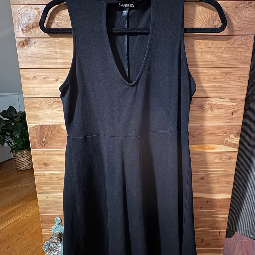 Express Classic Black Mini Dress